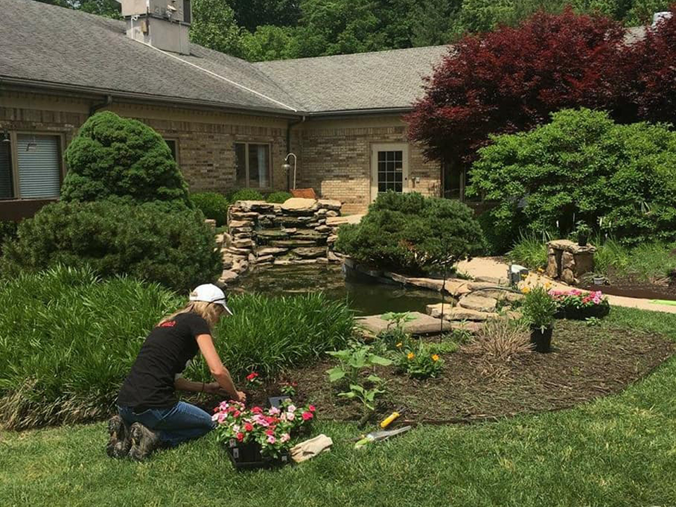 The Manor at Elfindales