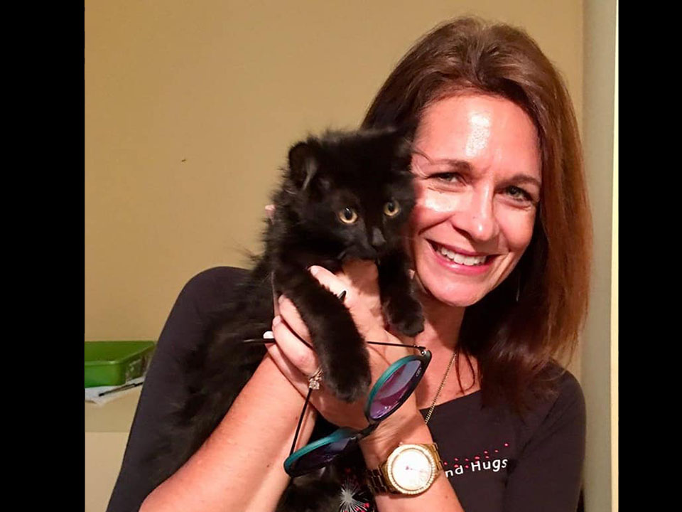 W.O.W.foster kitties