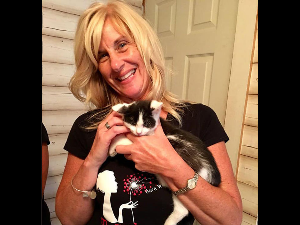 W.O.W.foster kitties