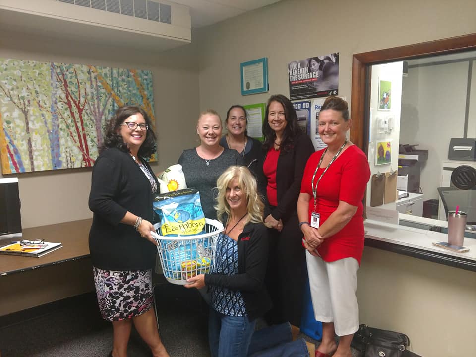 W.O.W.foster kitties